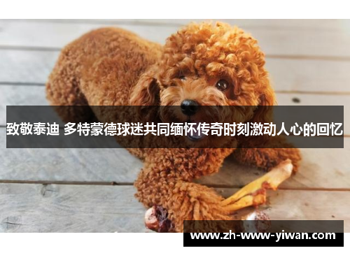 致敬泰迪 多特蒙德球迷共同缅怀传奇时刻激动人心的回忆