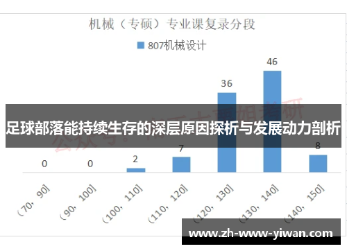 足球部落能持续生存的深层原因探析与发展动力剖析